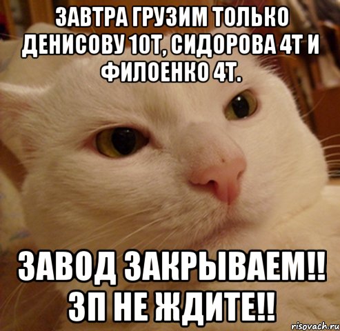 завтра грузим только денисову 10т, сидорова 4т и филоенко 4т. завод закрываем!! зп не ждите!!, Мем Дерзкий котэ