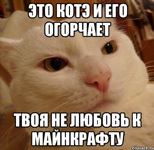 это котэ и его огорчает твоя не любовь к майнкрафту, Мем Дерзкий котэ