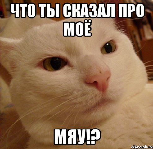 что ты сказал про моё мяу!?, Мем Дерзкий котэ