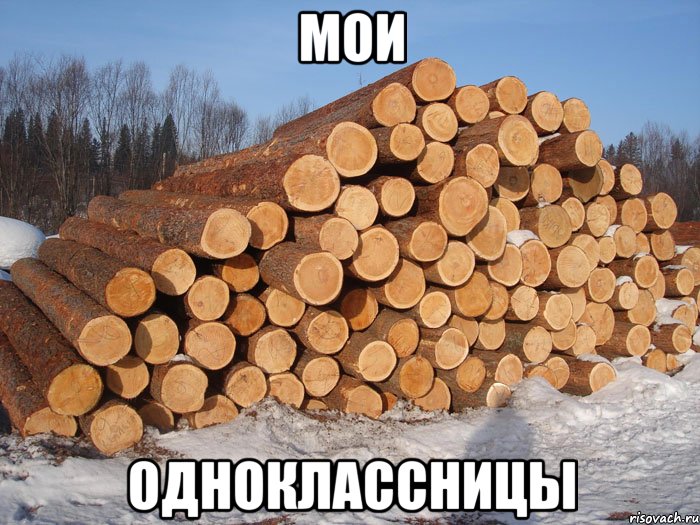 мои одноклассницы, Мем девушки