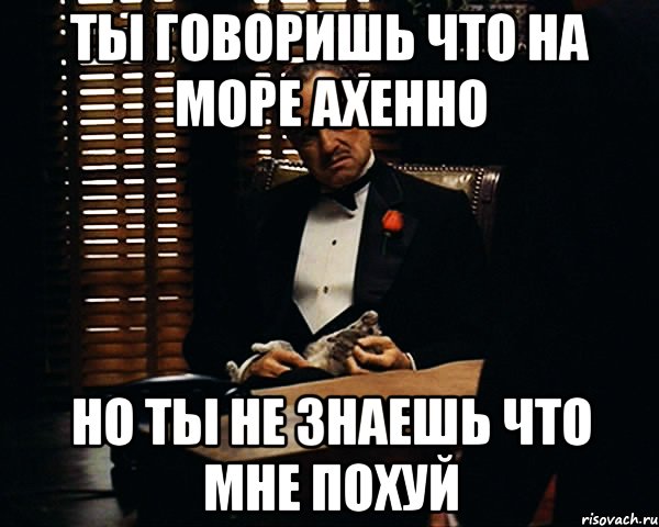 ты говоришь что на море ахенно но ты не знаешь что мне похуй, Мем Дон Вито Корлеоне