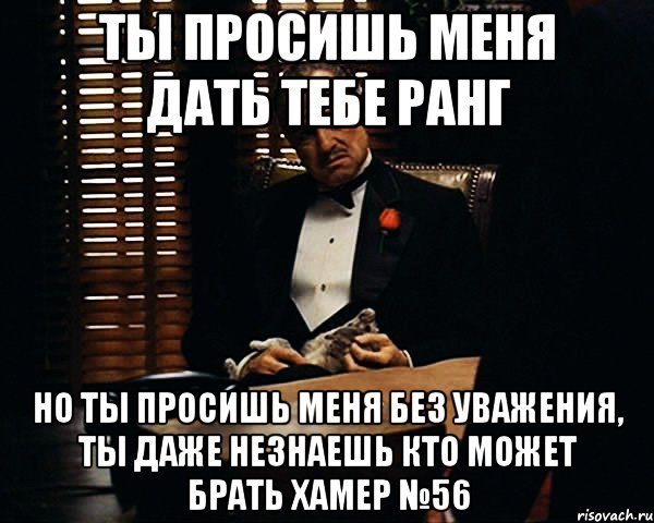 ты просишь меня дать тебе ранг но ты просишь меня без уважения, ты даже незнаешь кто может брать хамер №56, Мем Дон Вито Корлеоне