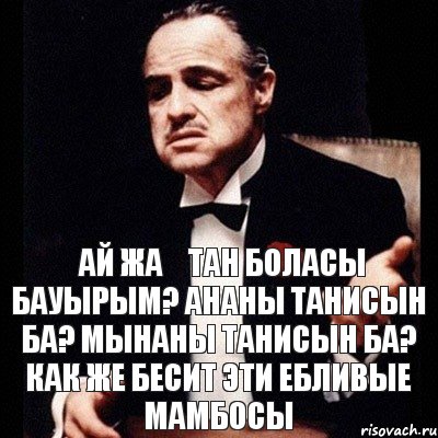 Қай жақтан боласың бауырым? Ананы танисын ба? Мынаны танисын ба? Как же бесит эти ебливые мамбосы, Комикс Дон Вито Корлеоне 1