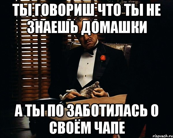 ты говориш что ты не знаешь домашки а ты по заботилась о своём чапе, Мем Дон Вито Корлеоне