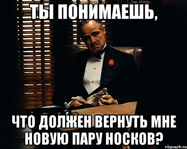 ты понимаешь, что должен вернуть мне новую пару носков?, Мем Дон Вито Корлеоне