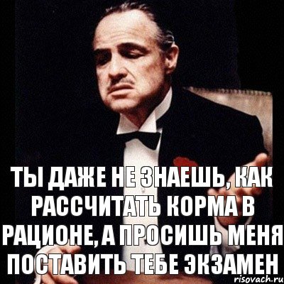 Ты даже не знаешь, как рассчитать корма в рационе, а просишь меня поставить тебе экзамен, Комикс Дон Вито Корлеоне 1