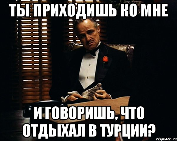 ты приходишь ко мне и говоришь, что отдыхал в турции?, Мем Дон Вито Корлеоне