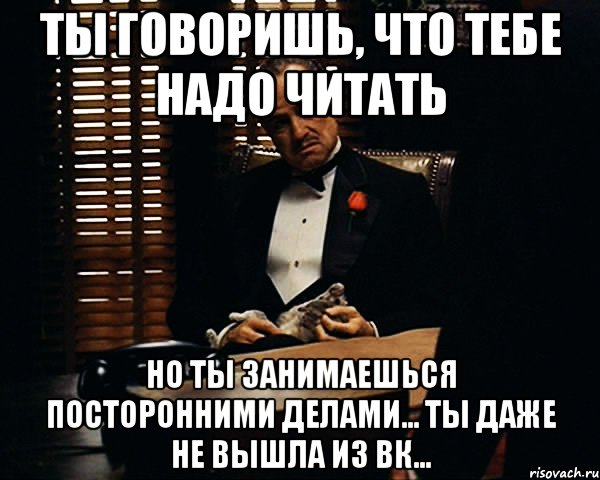 ты говоришь, что тебе надо читать но ты занимаешься посторонними делами... ты даже не вышла из вк..., Мем Дон Вито Корлеоне