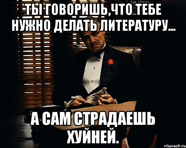 ты говоришь,что тебе нужно делать литературу... а сам страдаешь хуйней., Мем Дон Вито Корлеоне