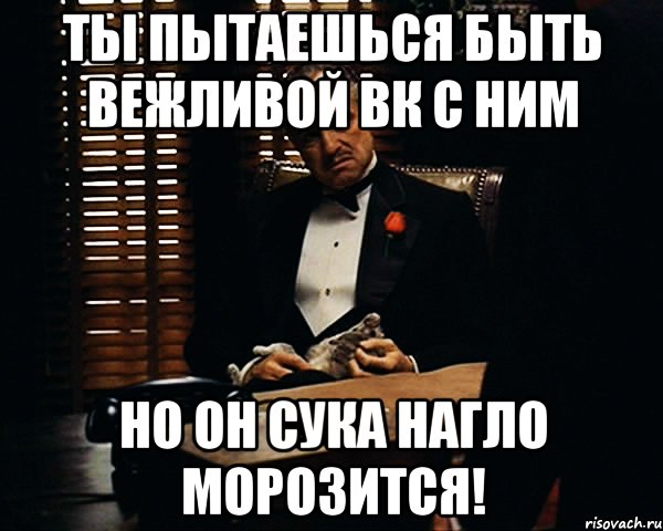 ты пытаешься быть вежливой вк с ним но он сука нагло морозится!