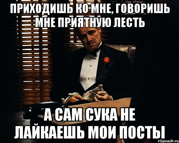 приходишь ко мне, говоришь мне приятную лесть а сам сука не лайкаешь мои посты, Мем Дон Вито Корлеоне