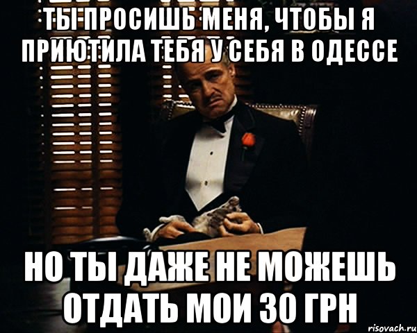 ты просишь меня, чтобы я приютила тебя у себя в одессе но ты даже не можешь отдать мои 30 грн, Мем Дон Вито Корлеоне