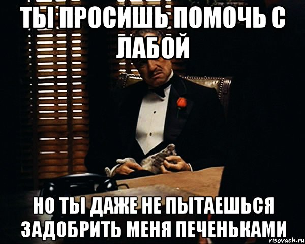 ты просишь помочь с лабой но ты даже не пытаешься задобрить меня печеньками