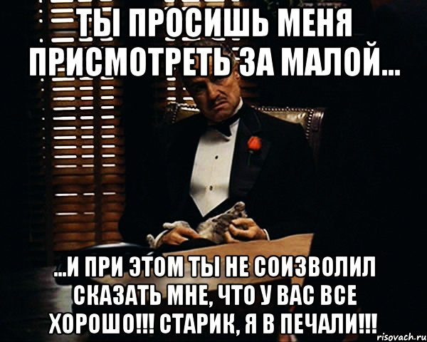 ты просишь меня присмотреть за малой... ...и при этом ты не соизволил сказать мне, что у вас все хорошо!!! старик, я в печали!!!, Мем Дон Вито Корлеоне