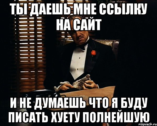 ты даешь мне ссылку на сайт и не думаешь что я буду писать хуету полнейшую, Мем Дон Вито Корлеоне