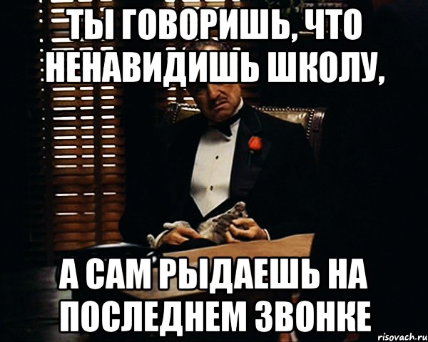 ты говоришь, что ненавидишь школу, а сам рыдаешь на последнем звонке, Мем Дон Вито Корлеоне