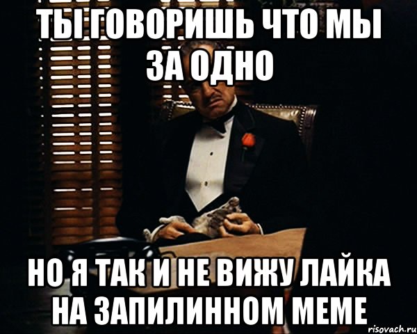 ты говоришь что мы за одно но я так и не вижу лайка на запилинном меме