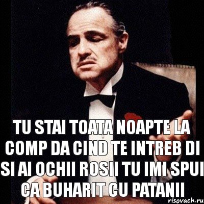 Tu stai toata noapte la comp da cind te intreb di si ai ochii rosii tu imi spui ca buharit cu patanii