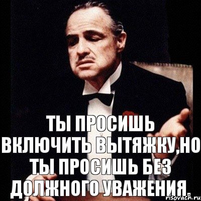 Ты просишь включить вытяжку,но ты просишь без должного уважения.