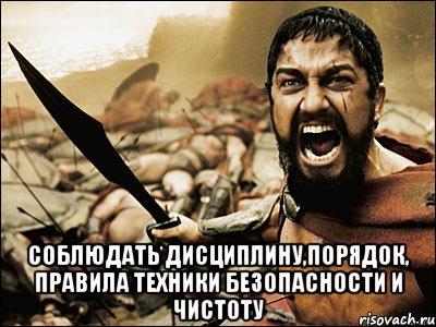  соблюдать дисциплину,порядок, правила техники безопасности и чистоту, Мем Это Спарта