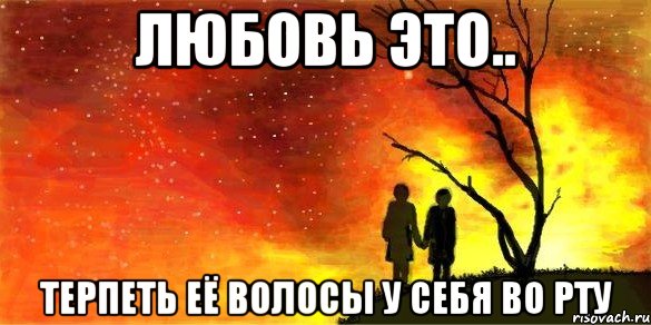 любовь это.. терпеть её волосы у себя во рту, Мем fdsf