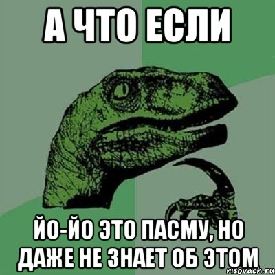 а что если йо-йо это пасму, но даже не знает об этом, Мем Филосораптор