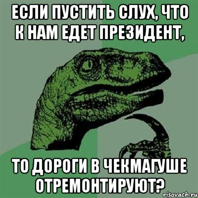 если пустить слух, что к нам едет президент, то дороги в чекмагуше отремонтируют?, Мем Филосораптор