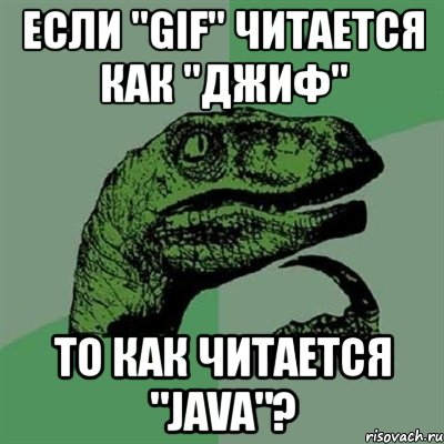 если "gif" читается как "джиф" то как читается "java"?, Мем Филосораптор