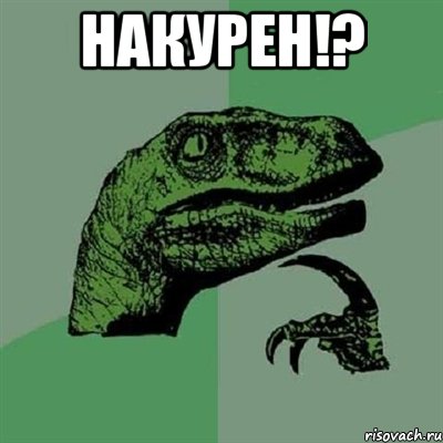 накурен!? , Мем Филосораптор