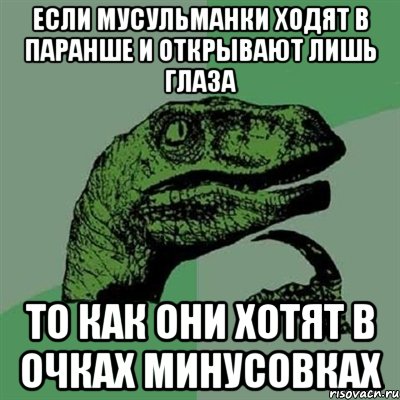 если мусульманки ходят в паранше и открывают лишь глаза то как они хотят в очках минусовках, Мем Филосораптор