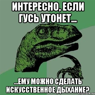 интересно, если гусь утонет... ...ему можно сделать искусственное дыхание?, Мем Филосораптор