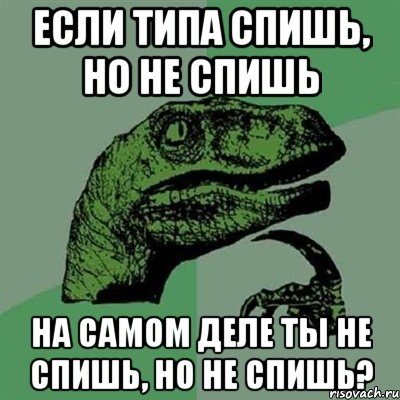 если типа спишь, но не спишь на самом деле ты не спишь, но не спишь?, Мем Филосораптор