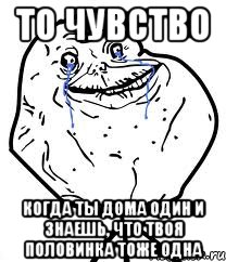 то чувство когда ты дома один и знаешь, что твоя половинка тоже одна, Мем Forever Alone