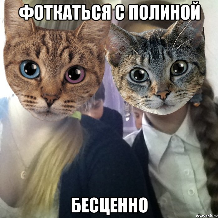 фоткаться с полиной бесценно, Мем Фоткаться с Полиной бесценно