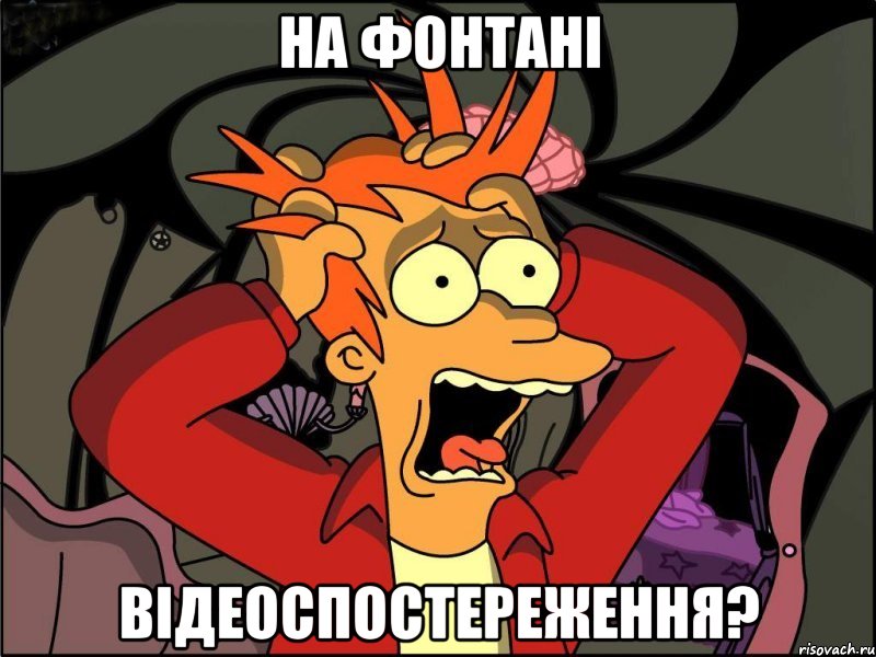 на фонтані відеоспостереження?, Мем Фрай в панике