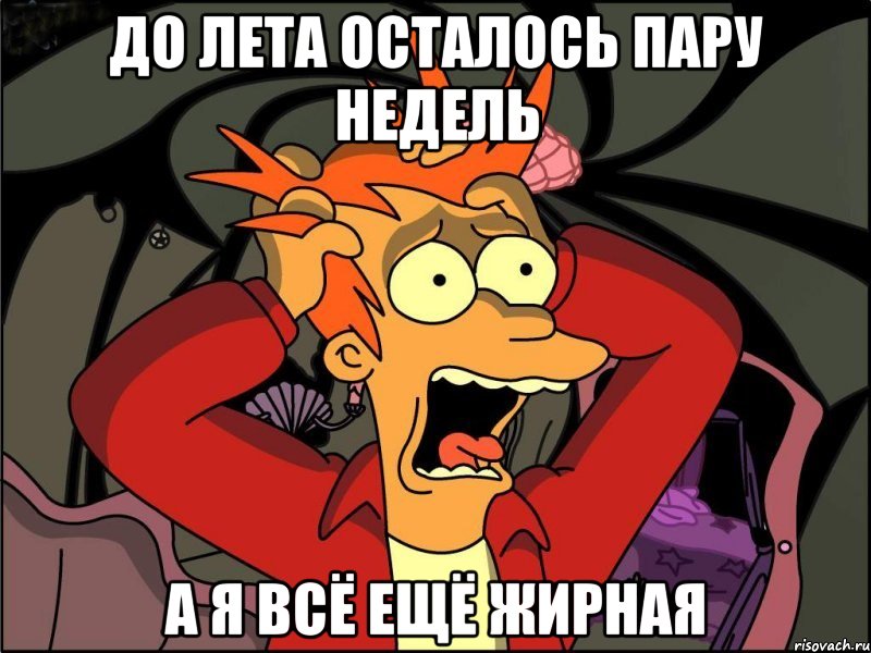 до лета осталось пару недель а я всё ещё жирная, Мем Фрай в панике