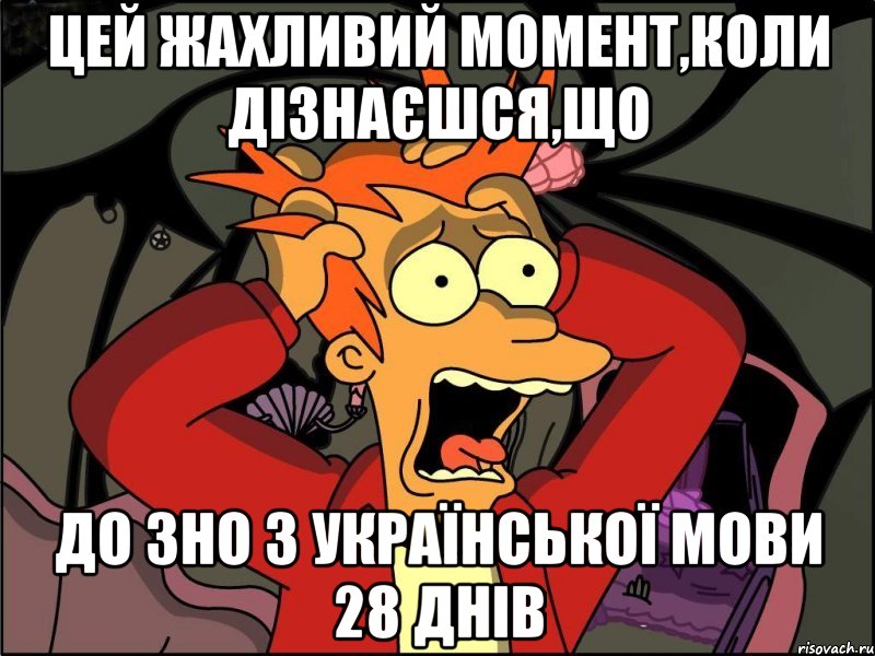 цей жахливий момент,коли дізнаєшся,що до зно з української мови 28 днів, Мем Фрай в панике