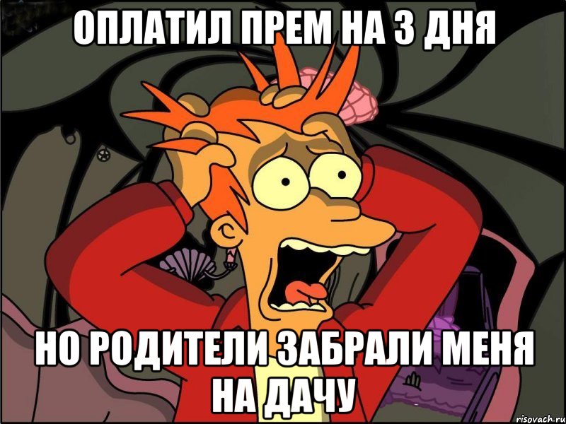 оплатил прем на 3 дня но родители забрали меня на дачу, Мем Фрай в панике