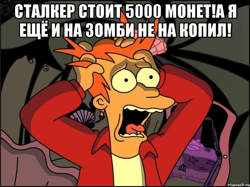 сталкер стоит 5000 монет!а я ещё и на зомби не на копил! , Мем Фрай в панике