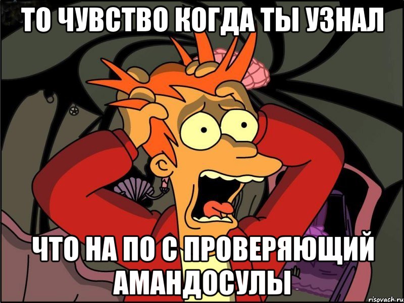 то чувство когда ты узнал что на по с проверяющий амандосулы, Мем Фрай в панике