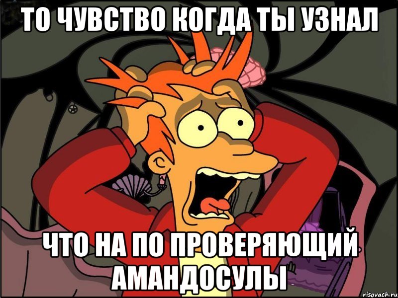 то чувство когда ты узнал что на по проверяющий амандосулы, Мем Фрай в панике