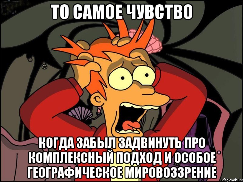 то самое чувство когда забыл задвинуть про комплексный подход и особое географическое мировоззрение, Мем Фрай в панике