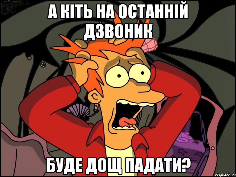 а кіть на останній дзвоник буде дощ падати?, Мем Фрай в панике