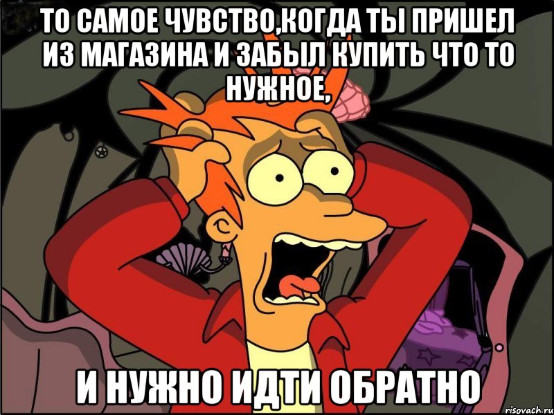 то самое чувство,когда ты пришел из магазина и забыл купить что то нужное, и нужно идти обратно, Мем Фрай в панике