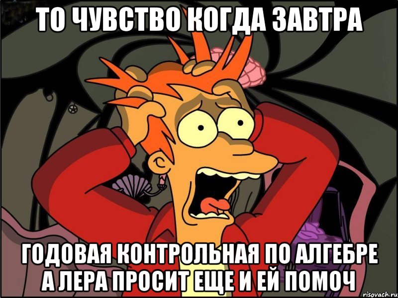 то чувство когда завтра годовая контрольная по алгебре а лера просит еще и ей помоч, Мем Фрай в панике