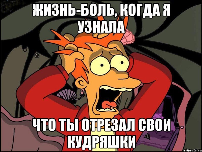 жизнь-боль, когда я узнала что ты отрезал свои кудряшки, Мем Фрай в панике