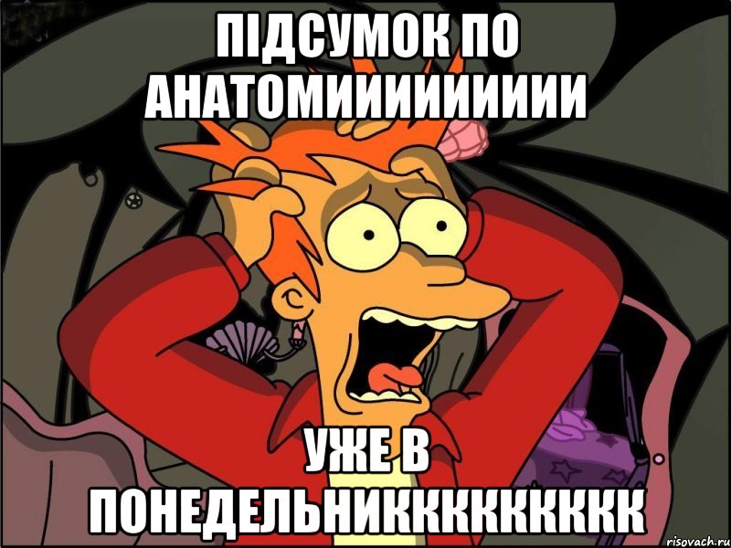 пiдсумок по анатомиииииииии уже в понедельниккккккккк, Мем Фрай в панике