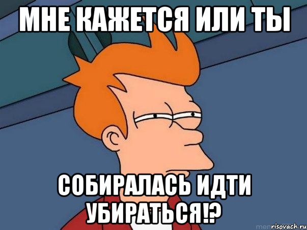 мне кажется или ты собиралась идти убираться!?, Мем  Фрай (мне кажется или)