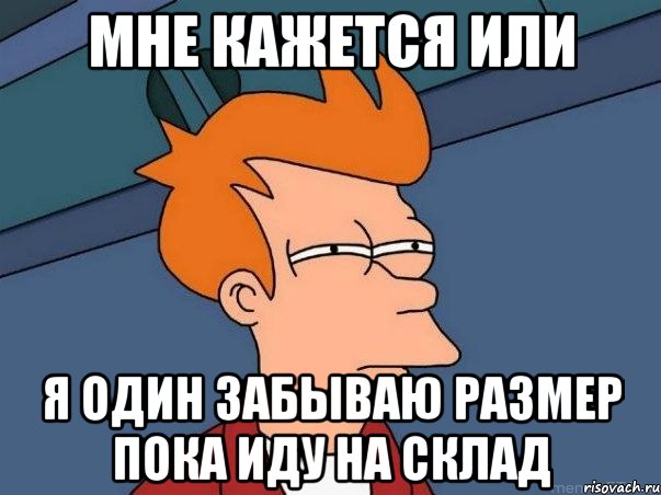 мне кажется или я один забываю размер пока иду на склад, Мем  Фрай (мне кажется или)