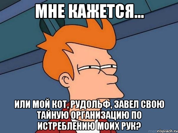 мне кажется... или мой кот, рудольф, завел свою тайную организацию по истреблению моих рук?, Мем  Фрай (мне кажется или)